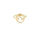12 Zodiac Rings