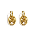 Stainless Steel Drop Earrings Irregular Shape Casual Daily Simple Series Women's jewelry