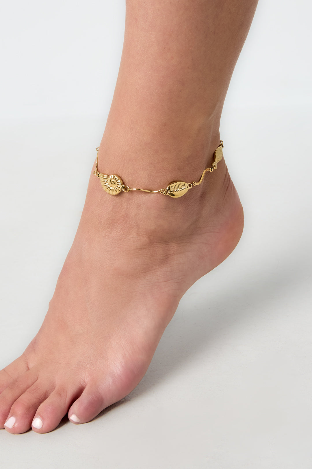 Stainless Steel Anklets Shell Vacation Daily Simple Series Women's jewelry