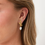 Stainless Steel Drop Earrings Irregular Shape Casual Daily Simple Series Women's jewelry