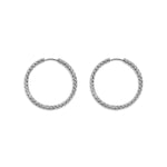 Stainless Steel Hoop Earrings Circle Simple Daily Simple Series Women's jewelry