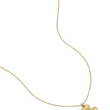 lucky charm necklace