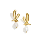 Stainless Steel Drop Earrings Irregular Shape Casual Daily Simple Series Women's jewelry