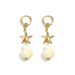 Stainless Steel Drop Earrings Shell Vacation Holiday/Beach Simple Series Women's jewelry