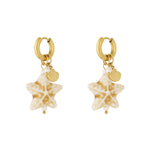 Sandy star earrings