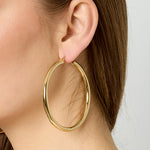 Stainless Steel Hoop Earrings Casual Daily Simple Series Women's jewelry