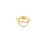 12 Zodiac Rings