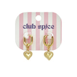 Stainless Steel Drop Earrings Heart Casual Daily Simple Series Women's jewelry