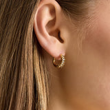 Stainless Steel Hoop Earrings circle Casual Daily Simple Series Women's jewelry