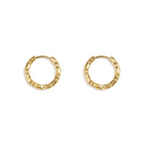 Stainless steel earrings