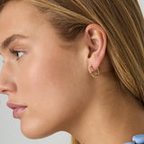 Stainless steel earrings